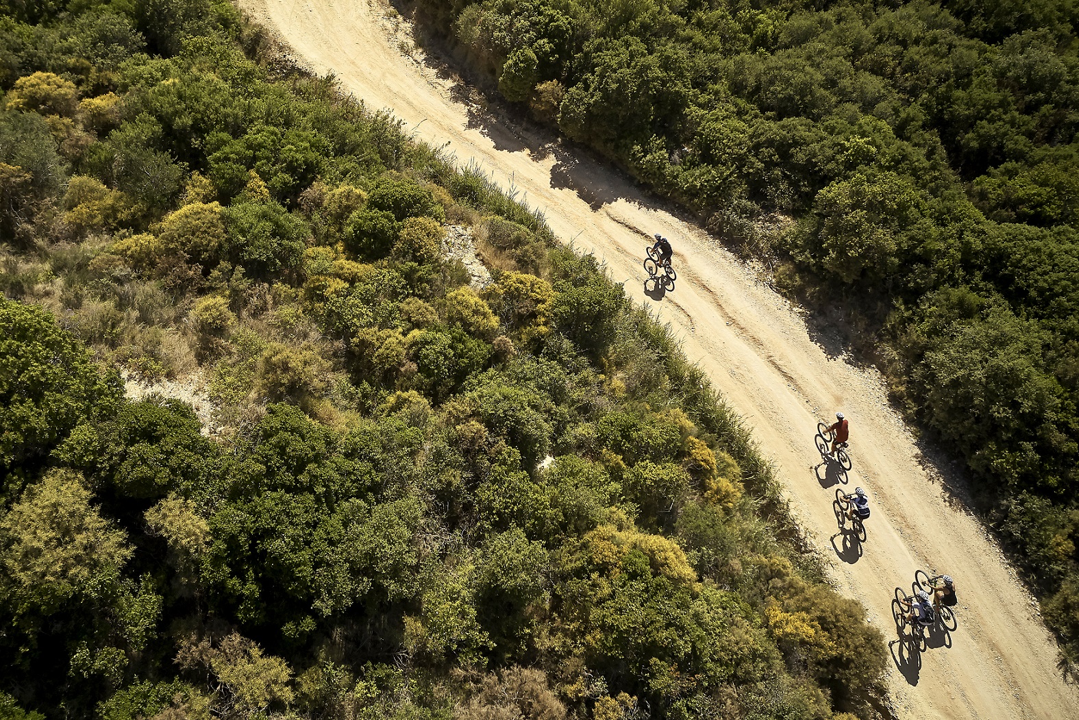 Eine Gruppe Radfahrer von oben in der Natur