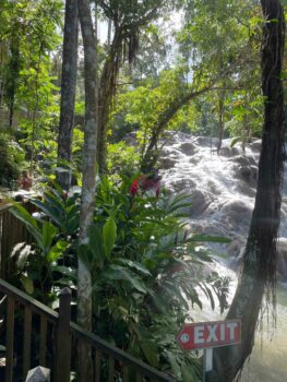 Wasserfall im Dschungel auf Jamaika
