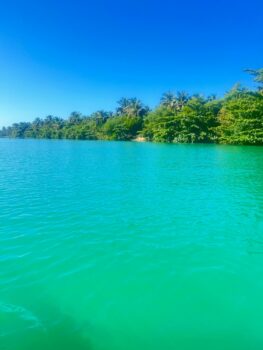 Strand mit blauem Wasser auf Madagaskar