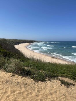 Kleine Bucht mit Strand & Grün