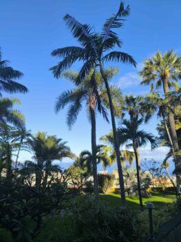 Gartenanlage des Hotels Tigaiga Suites