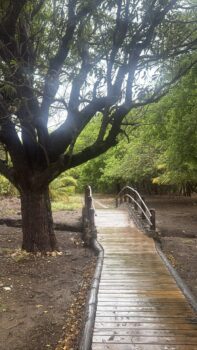 Wanderweg im Hofí Mango