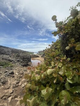 Verstecke Bucht im Shete Boka Nationalpark