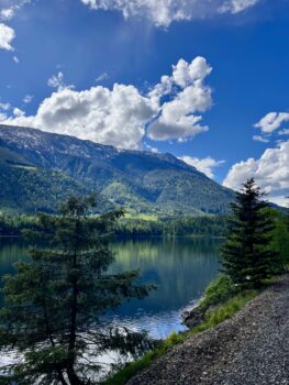 Blick auf die grüne Landschaft der Rocky Mountains