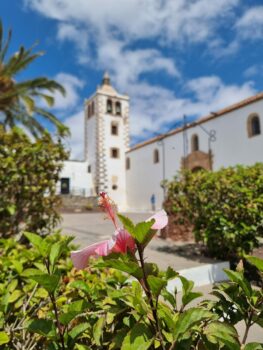Weißer Turm mit mediterranen Pflanzen im Vordergrund