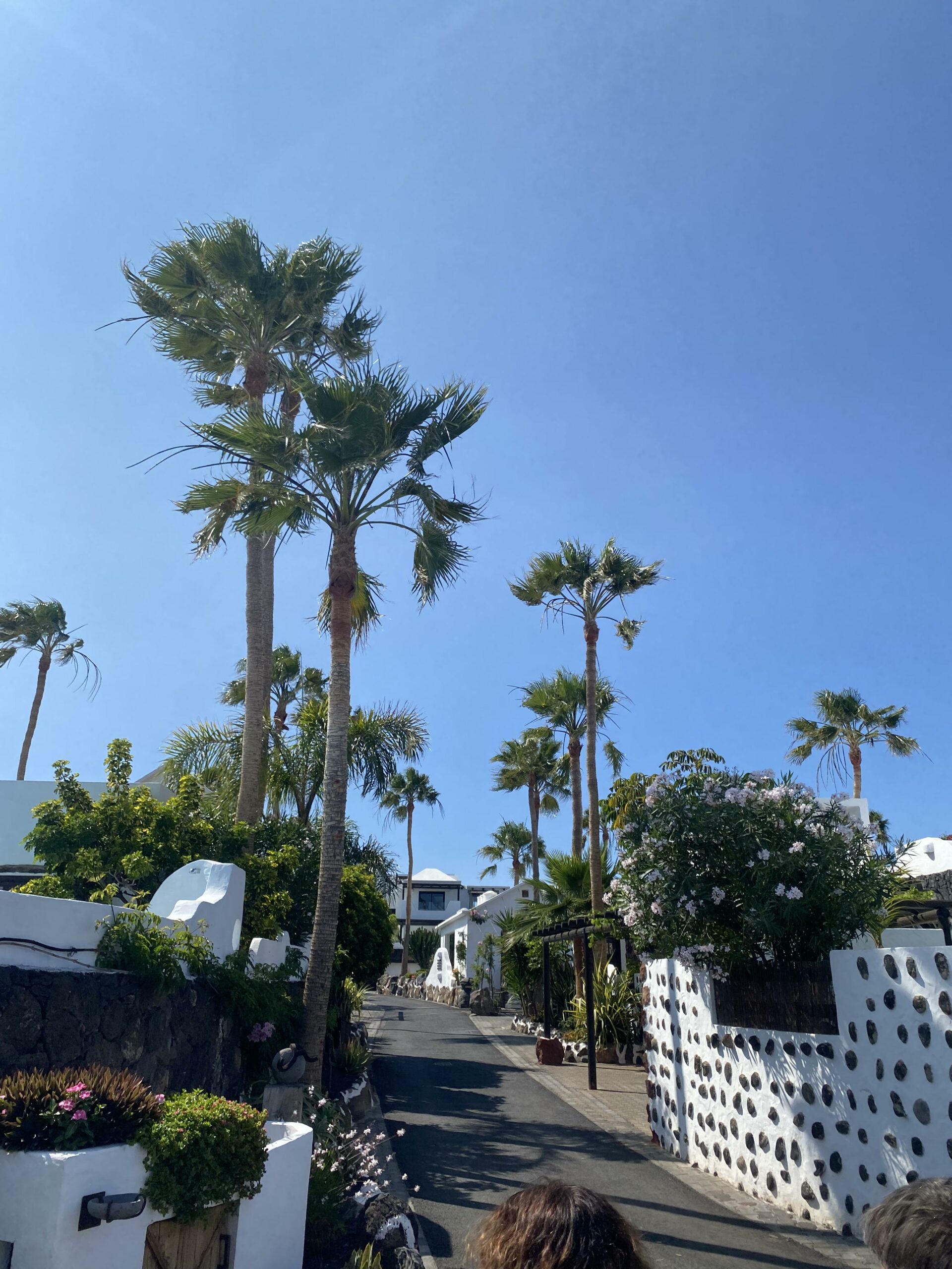 Wohngegend im Stil von Cesar Manrique auf Lanzarote 