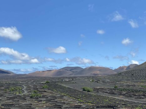 Weinbaugebiet inmitten der Vulkanlandschaft auf Lanzarote