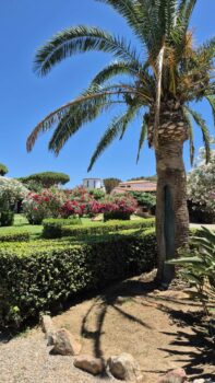 Hotelgarten mit Palmen