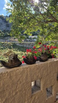 Kleine bunte Gefäße mit Blumen auf einer Mauer