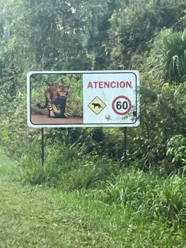 Achtung Jaguare